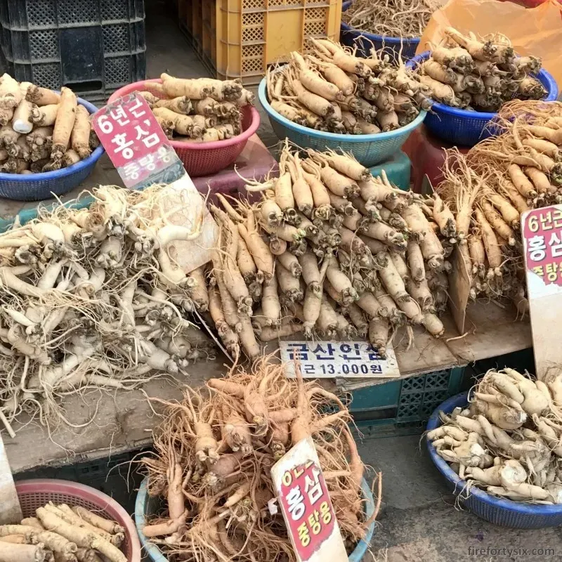 Uncover the Magic of Gyeongdong Market: Seoul's Ultimate Hidden Gem