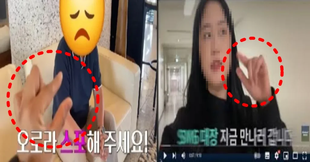 Shocking Renault Korea Crisis: Did a Feminist Hand Gesture Threaten Korea?