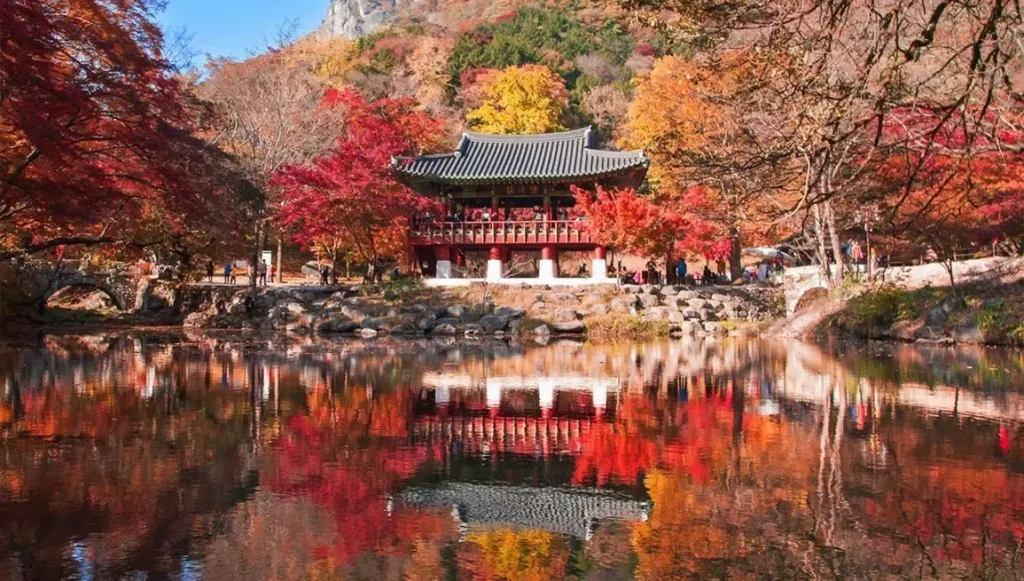 2025 South Korea Travel: 10 Unforgettable Reasons to Visit Now!